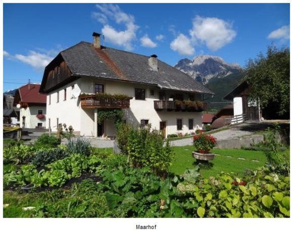 Lissis Bauernhof Appartments Gundersheim Ngoại thất bức ảnh
